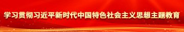 美女操操操久操水多多学习贯彻习近平新时代中国特色社会主义思想主题教育