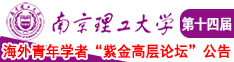 肉棒操骚逼好爽南京理工大学第十四届海外青年学者紫金论坛诚邀海内外英才！